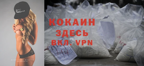 МДПВ Кукмор