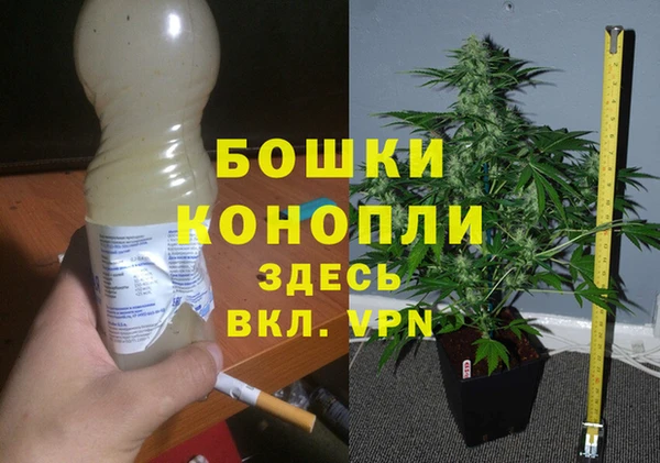 винт Ладушкин