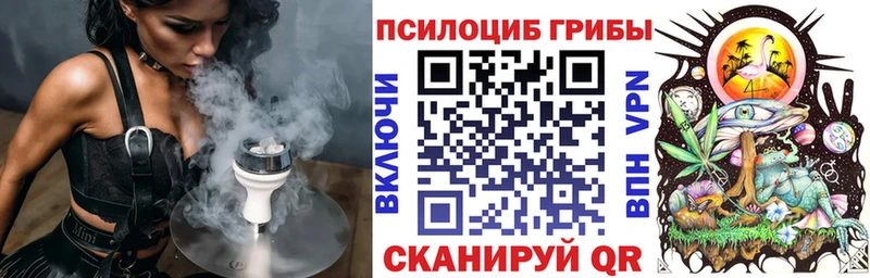 Галлюциногенные грибы мицелий  наркошоп  Цивильск 